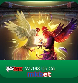 mkbet